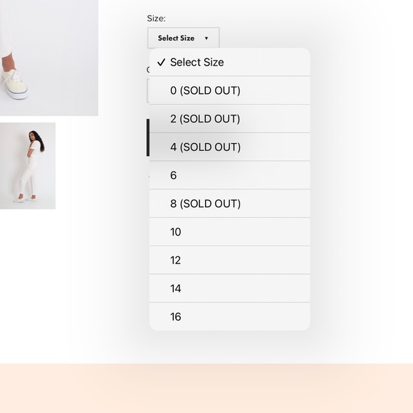 SOLD OUT NWT Jesse kamm Salt Handy Pants (4) - Picture 6 of 6